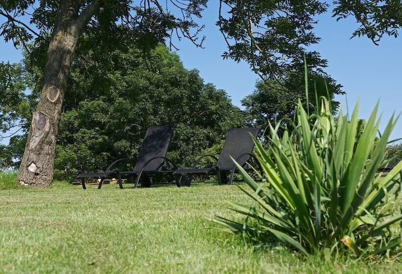 Myregaard B&b & Apartments