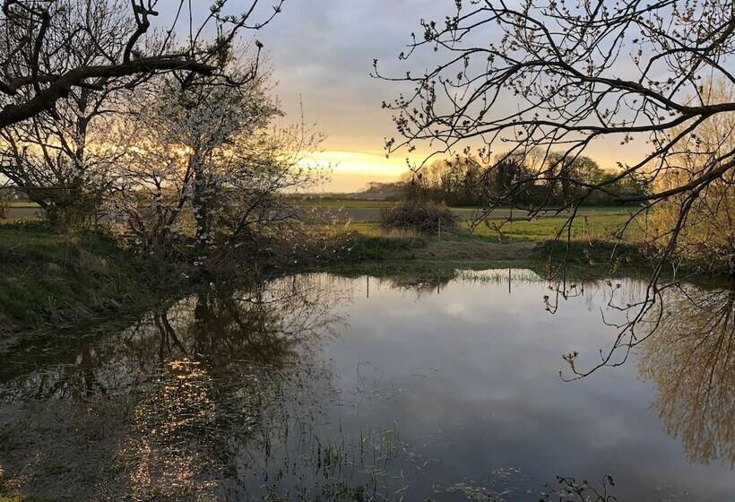 Myregaard B&b & Apartments