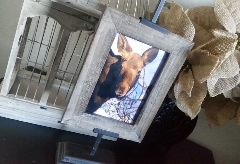 بنسيون Alaska Haven