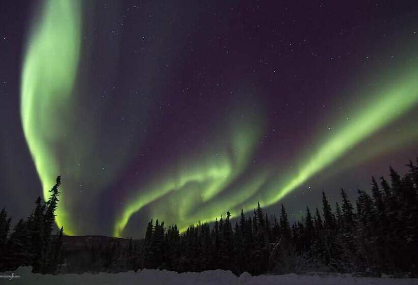 بنسيون Alaska Haven