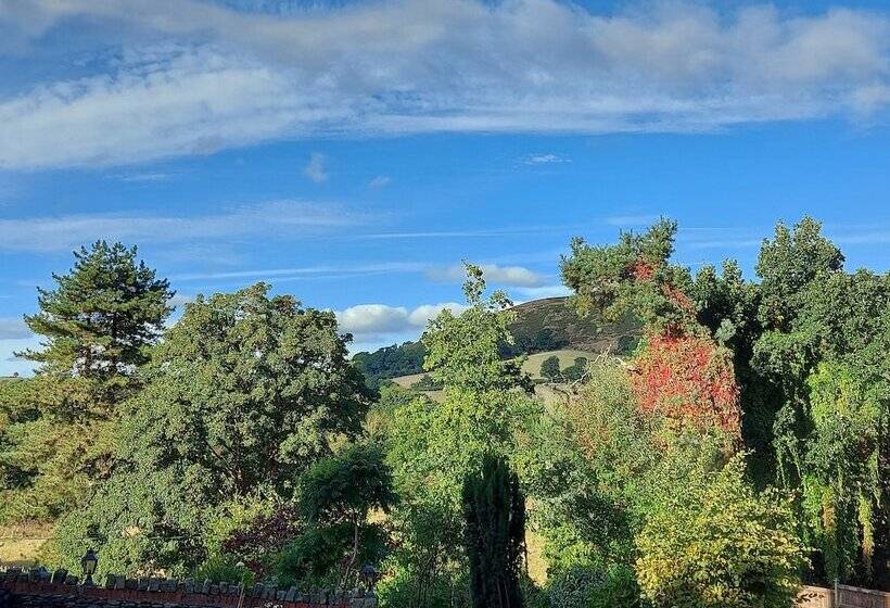 膳宿费 Bron Y Graig