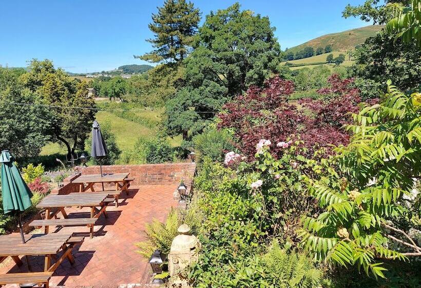 膳宿费 Bron Y Graig