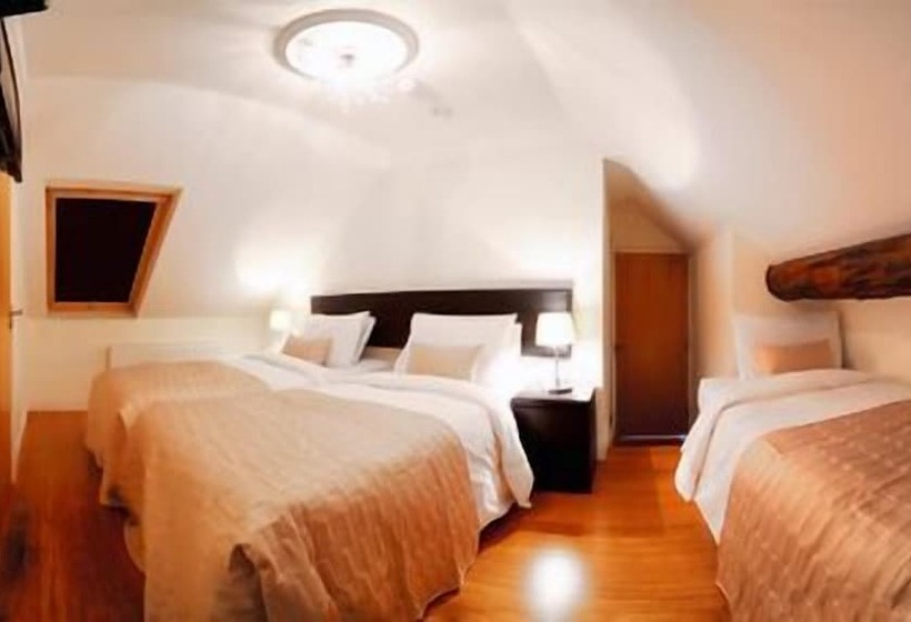 פנסיון Elephant Guest House