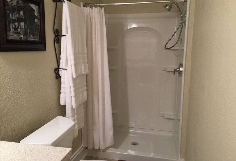 بنسيون Elmwood House