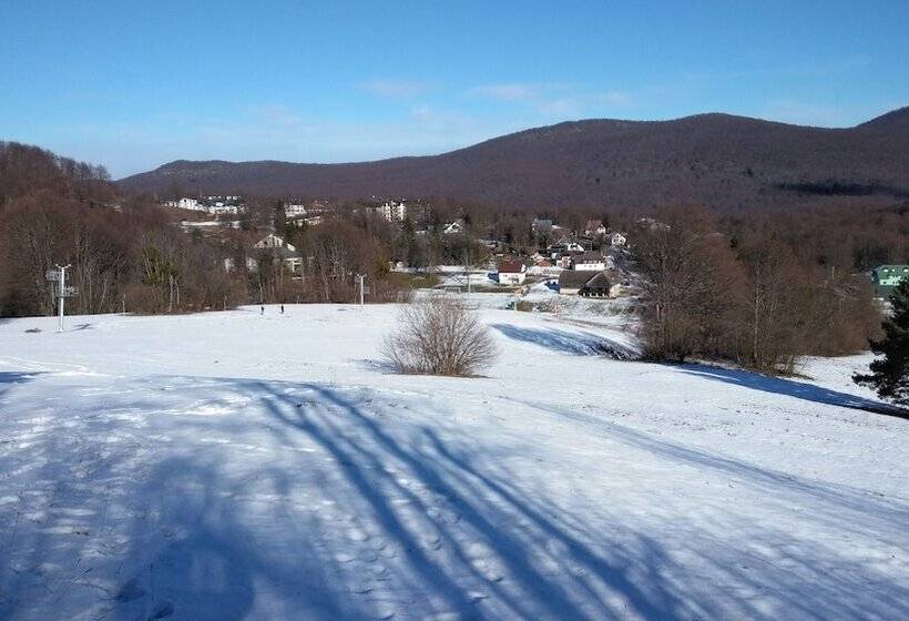 펜션 Guesthouse Bor