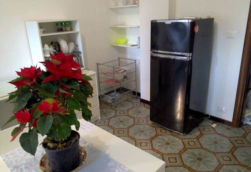 پانسیون House University