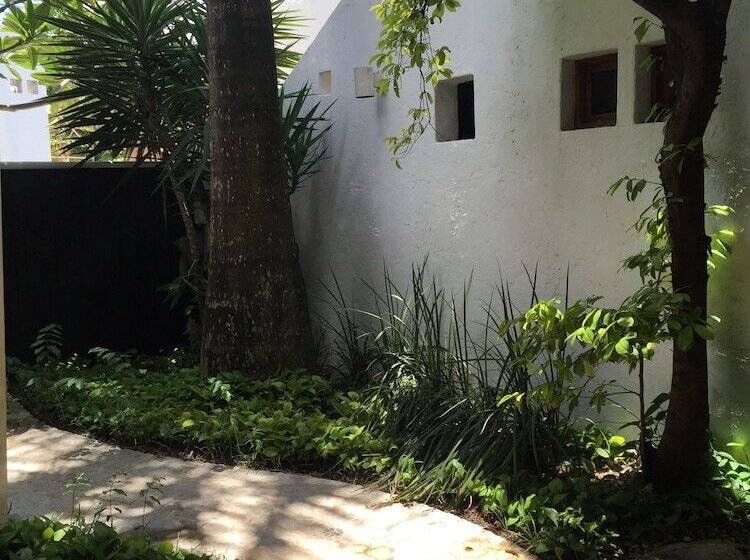 ペンション Mi Casa En Cozumel