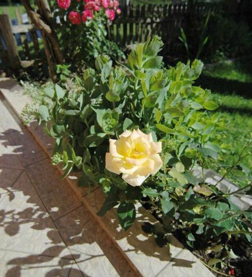 פנסיון Plitvice Rooms Family Glumac