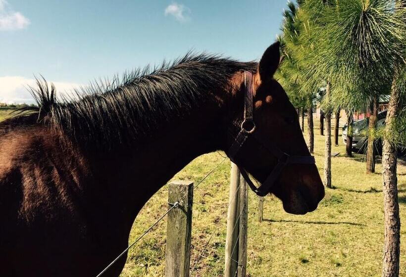 پانسیون Casa De Campo Lo De Fatsia