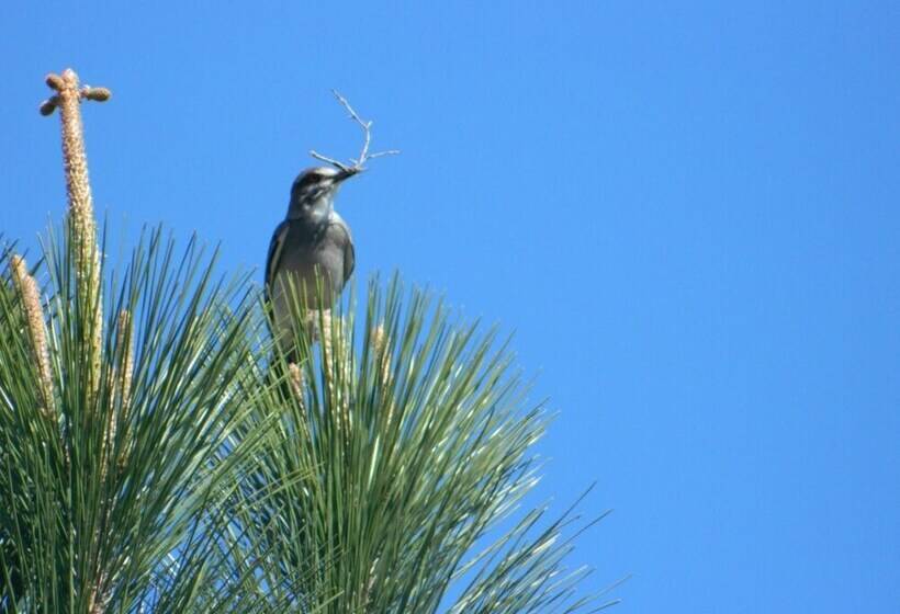 پانسیون Casa De Campo Lo De Fatsia