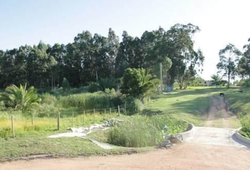 بنسيون Rincon Del Diario