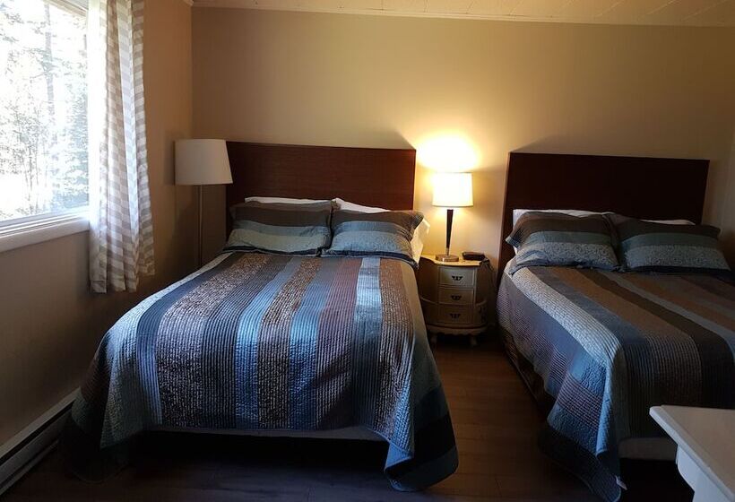Pine Cone Motel