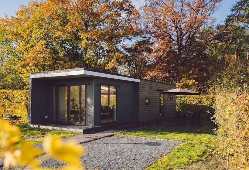 リゾートホテル Vakantiepark Buitenplaats Holten