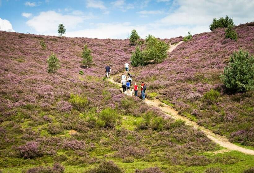 渡假胜地  Topparken – Recreatiepark ’t Gelloo