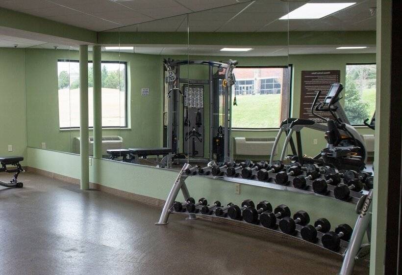 استراحتگاه Wilderness At The Smokies   Stone Hill Lodge