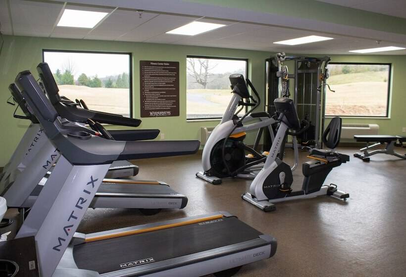 استراحتگاه Wilderness At The Smokies   Stone Hill Lodge