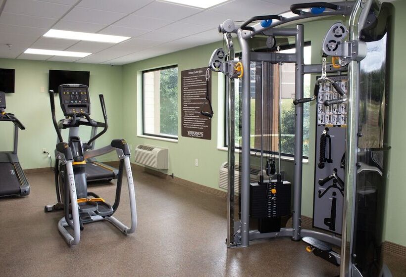 استراحتگاه Wilderness At The Smokies   Stone Hill Lodge