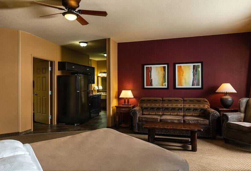 استراحتگاه Wilderness At The Smokies   Stone Hill Lodge