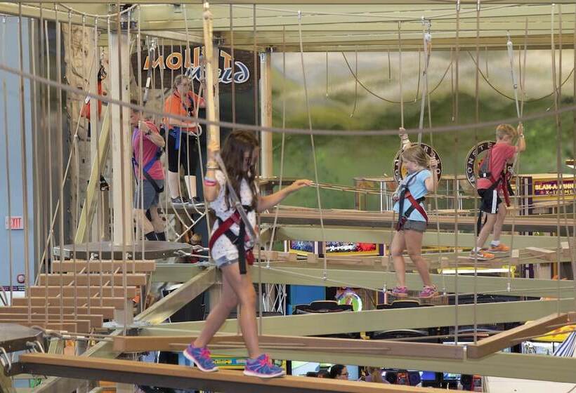 استراحتگاه Wilderness At The Smokies   Stone Hill Lodge