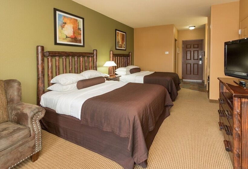 استراحتگاه Wilderness At The Smokies   Stone Hill Lodge