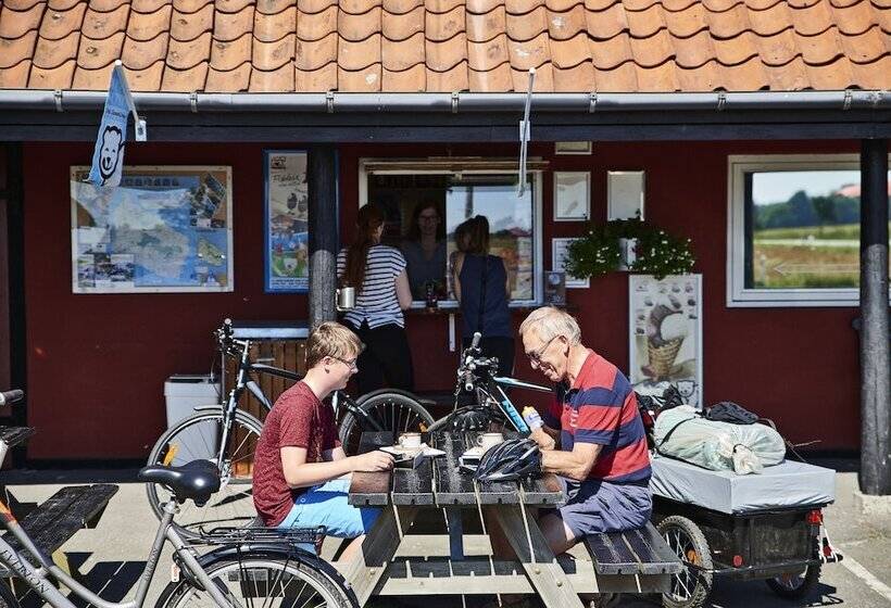 Rosengaarden Hostel