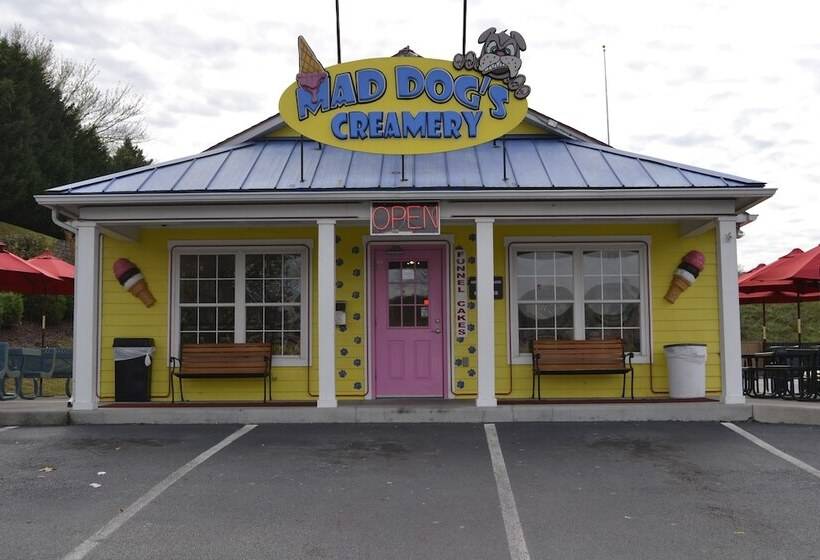 Skinny Dippin 1 Br Cabin By Redawning