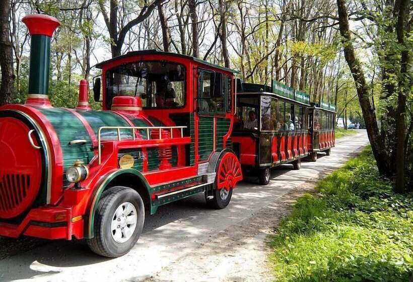 Stadshotel Ootmarsum