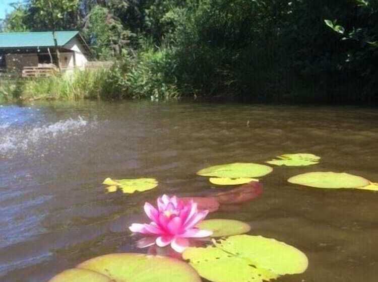 Suite Amour Hobby Farm And B & B