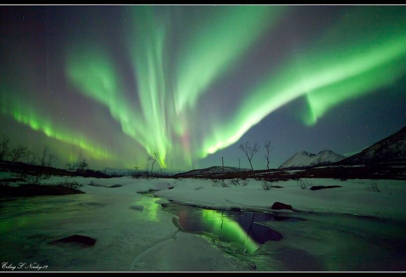 Yggdrasil Farmhotel Retreat, Spa & Yoga