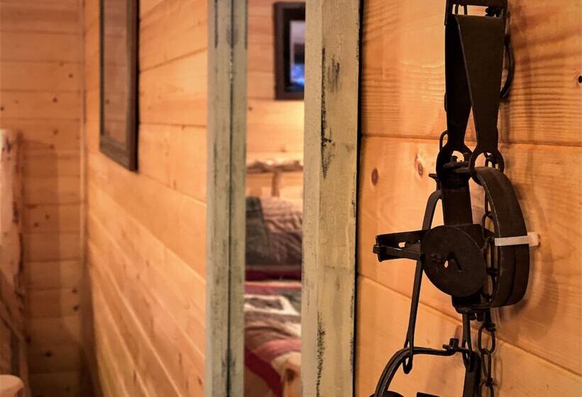 Alaska Creekside Cabins