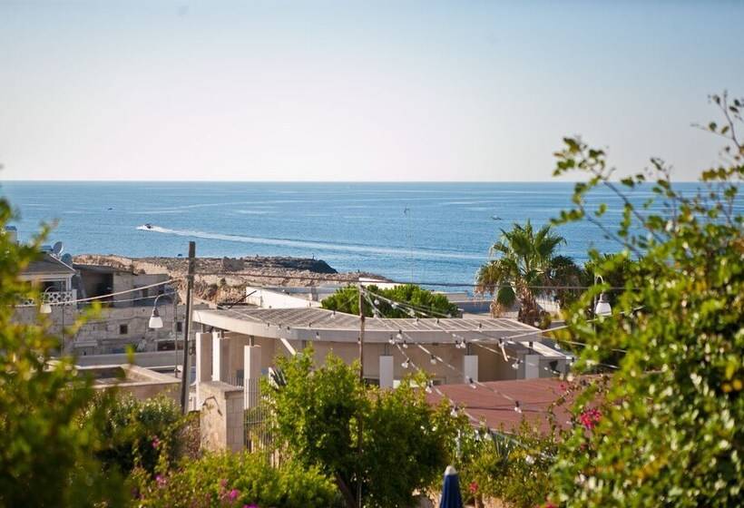 Bed and Breakfast Gelsomare