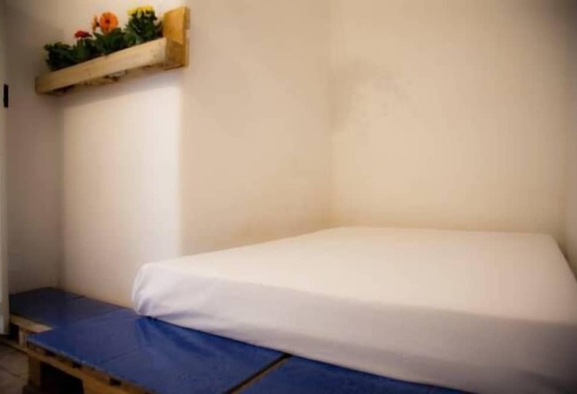 Bed and Breakfast Gelsomare