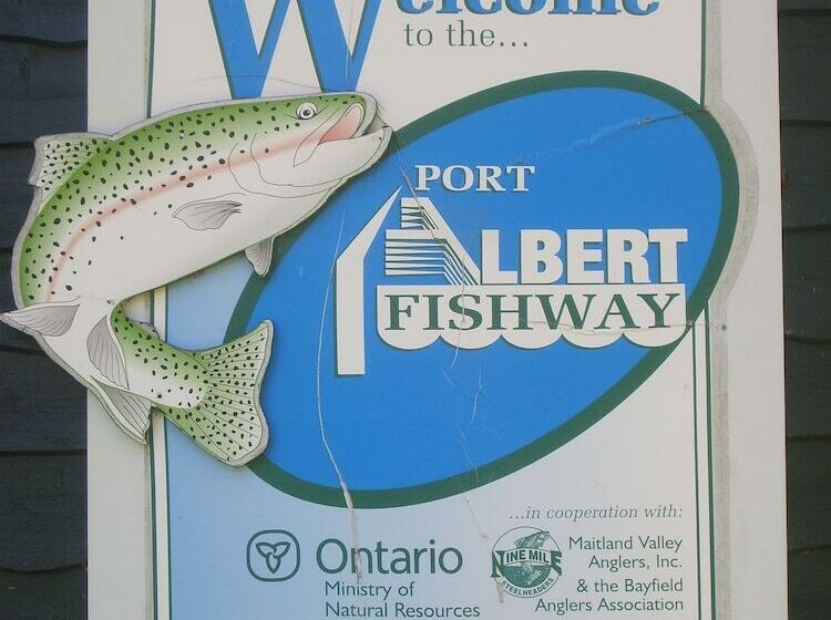 مبيت وإفطار Port Albert Inn