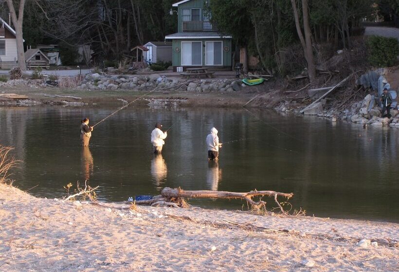 مبيت وإفطار Port Albert Inn