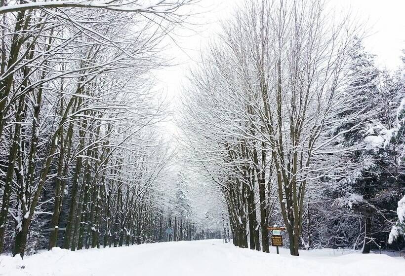 مبيت وإفطار Port Albert Inn