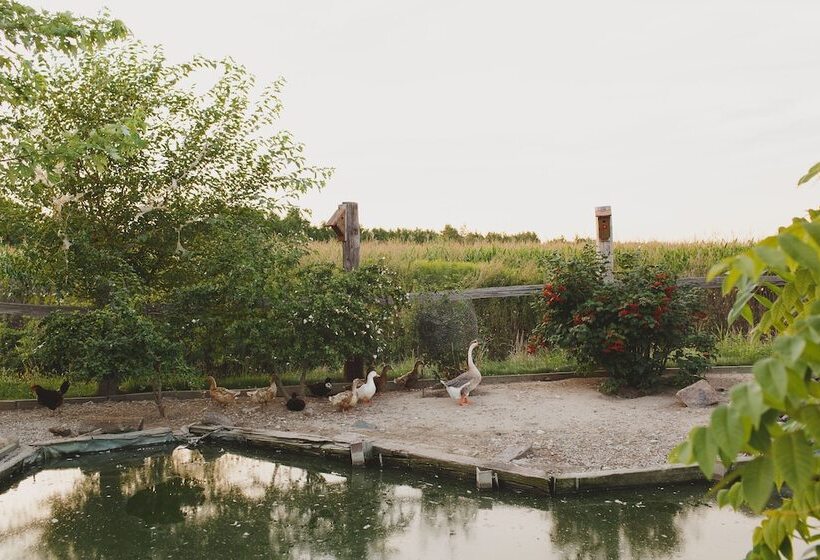 Duck Pond Bed & Breakfast Cottage