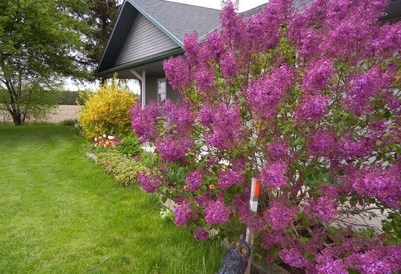 Duck Pond Bed & Breakfast Cottage