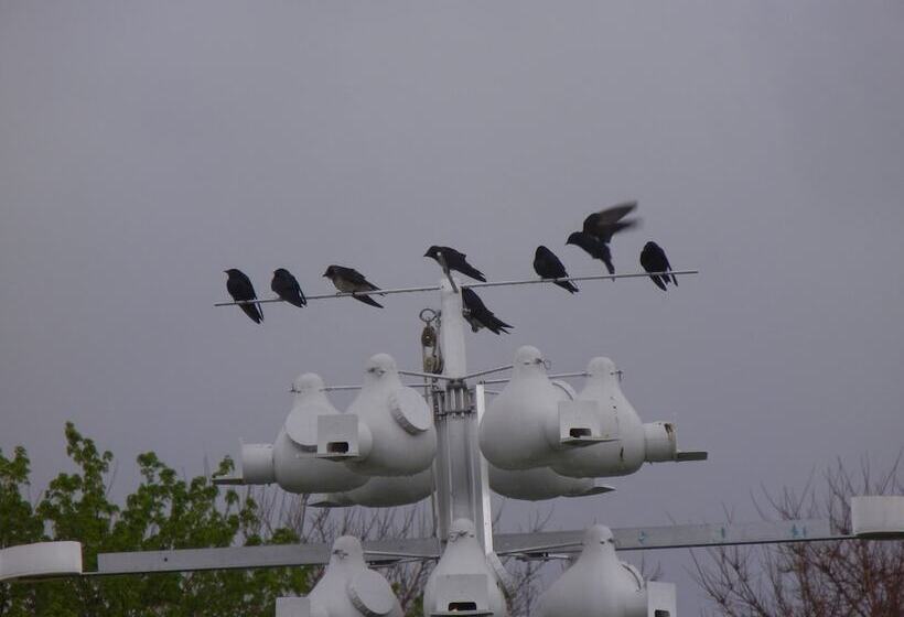 Duck Pond Bed & Breakfast Cottage