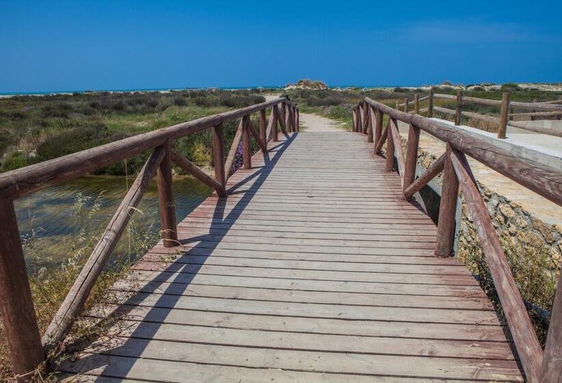 Estudios Turisticos Bahia Sur