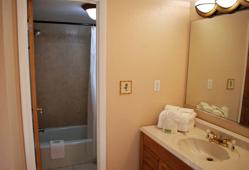 בית מלון כפרי Anna Maria Island Dream Inn