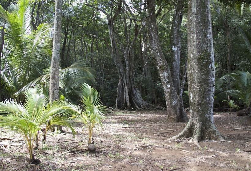 酒店 Camino Del Sol