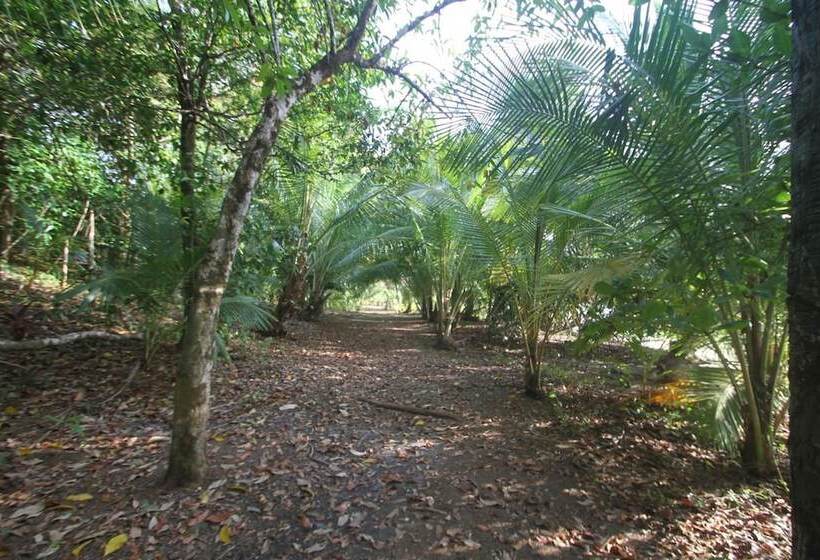 فندق Camino Del Sol