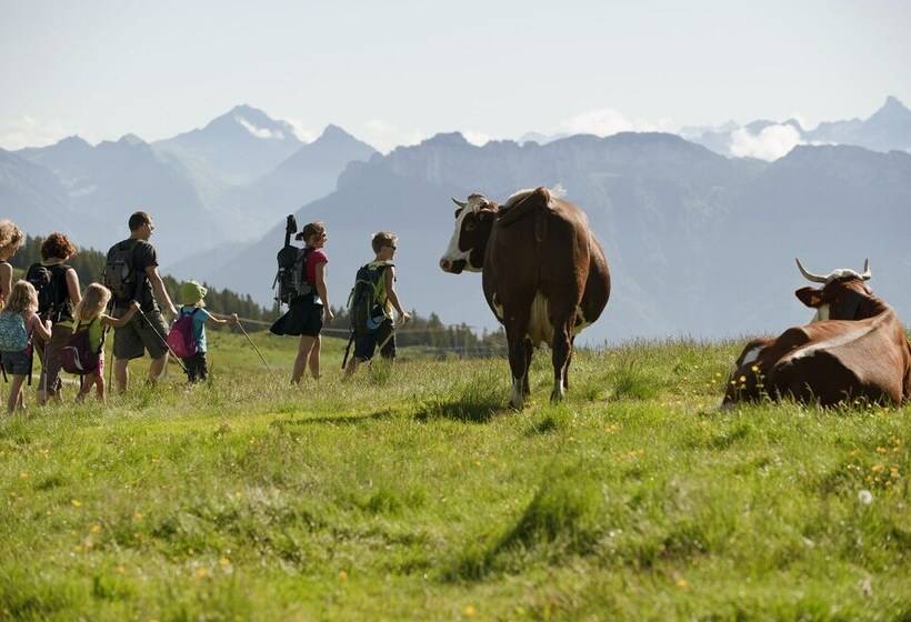 בית מלון כפרי Eco Bivouac Village D Igloo   Campground