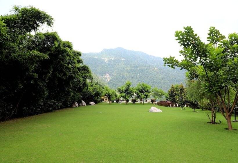 Отель Luxury Aloha Apartments