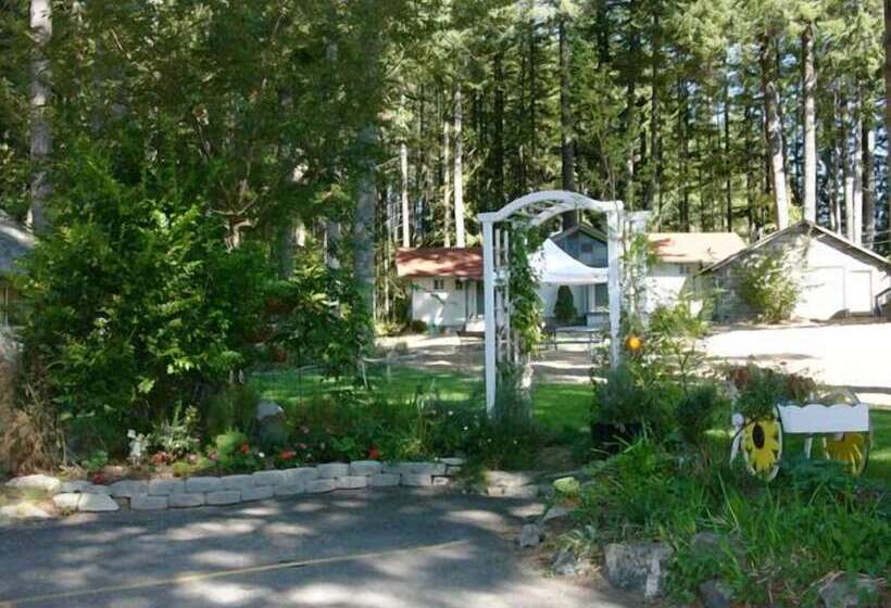 Отель Mountain View Lodge   No Pets Allowed