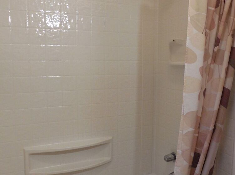 Отель Mountain View Lodge   No Pets Allowed