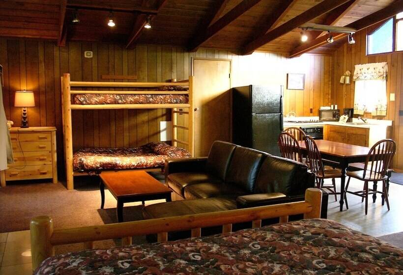 Отель Mountain View Lodge   No Pets Allowed