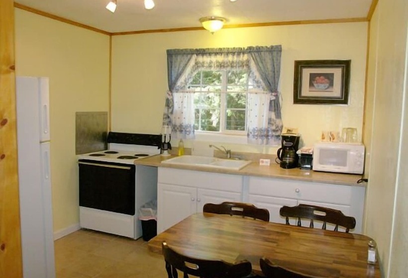 Отель Mountain View Lodge   No Pets Allowed