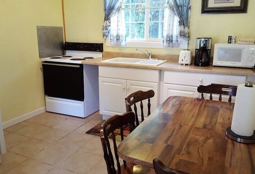 Отель Mountain View Lodge   No Pets Allowed