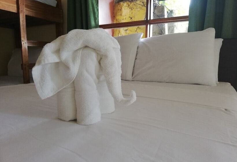 فندق Paradise Inn